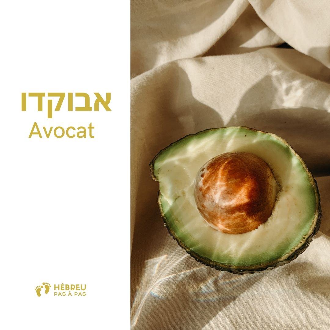 Fiche de vocabulaire : אבוקדו, avocat en hébreu