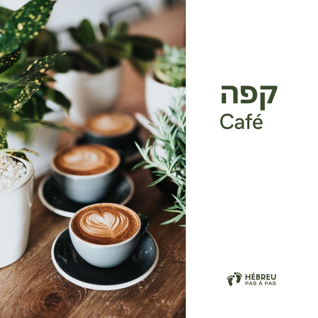 Fiche de vocabulaire : קפה, café en hébreu