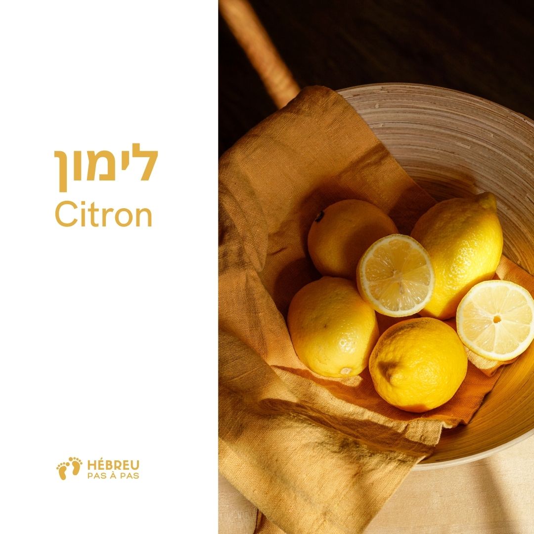 Fiche de vocabulaire : לימון, citron en hébreu